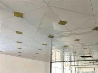 哪个厂的铝扣板比较好-铝扣板和塑钢板哪个好